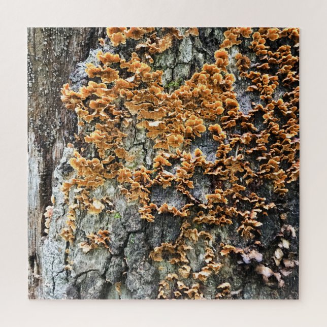 Puzzle champignon (Vertical)