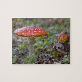 Puzzle Champignon d'agaric de mouche