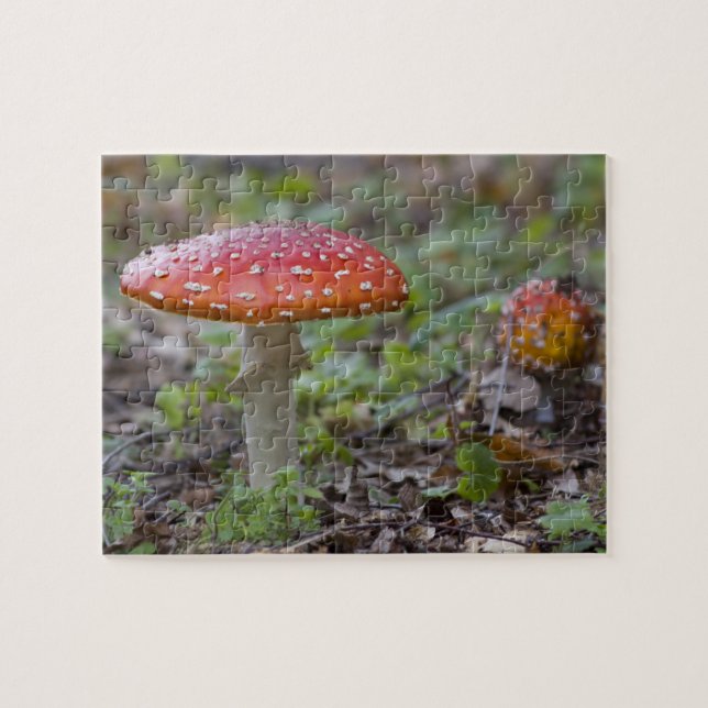 Puzzle Champignon d'agaric de mouche (Horizontal)