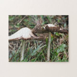 Puzzle Champignons blancs Pair Nature