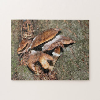 Puzzle Champignons Brown Sauvages Dans L'Arbre Crevice Na