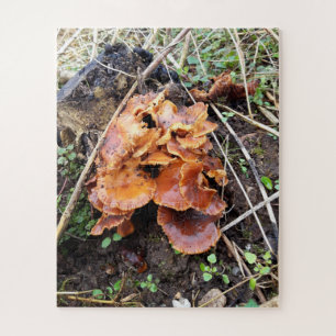 Puzzle Champignons dans la forêt