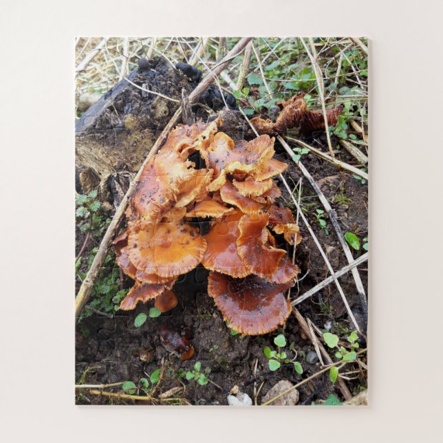 Puzzle Champignons dans la forêt (Vertical)