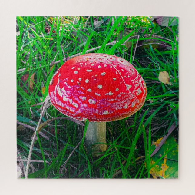 Puzzle Champignons de champignons magiques Rouge Nature P (Vertical)