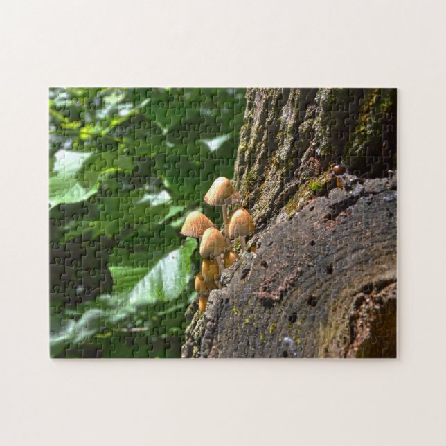 Puzzle Champignons d'hiver Canada. (Horizontal)