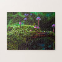 Champignons pourpres cool Champignons de la Moss d