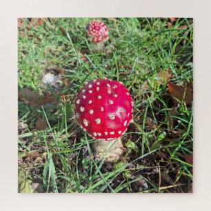 Puzzle Champignons rouges