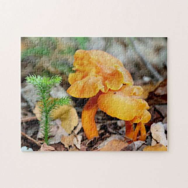 Puzzle Champignons sauvages Pale Orange Nature (Horizontal)