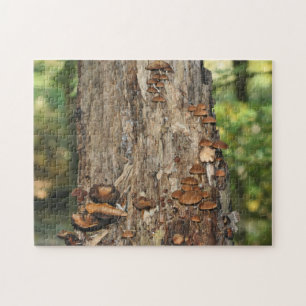 Puzzle Champignons Sauvages Poussant Sur Un Arbre Nature