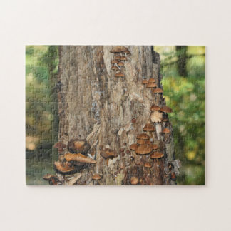 Puzzle Champignons Sauvages Poussant Sur Un Arbre Nature