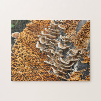 Puzzle Champignons Sauvages Sur La Nature Du Bois