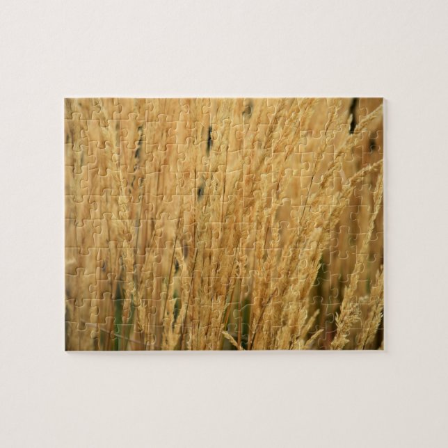 Puzzle Champs de blé doré - 8x10 - 110 pcs. (Horizontal)