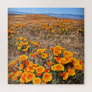 Puzzle Champs de pavot en Californie - Fleurs - 20x20 - 6
