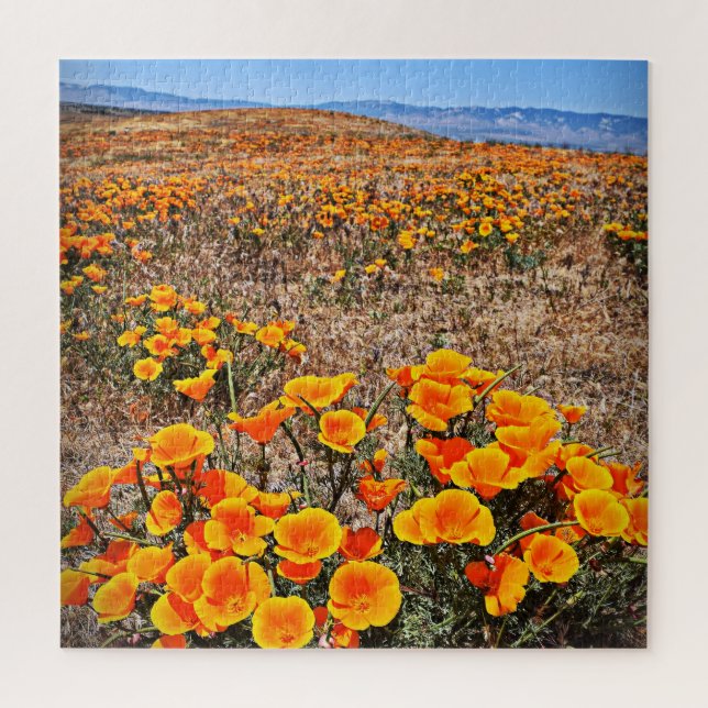 Puzzle Champs de pavot en Californie - Fleurs - 20x20 - 6 (Vertical)