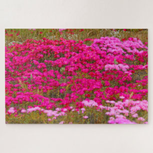 Puzzle CHAMPS ROSE 20x30 POUCES