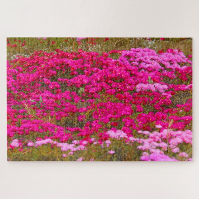 Puzzle CHAMPS ROSE 20x30 POUCES (Horizontal)