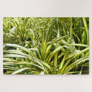 Puzzle Chanson indienne