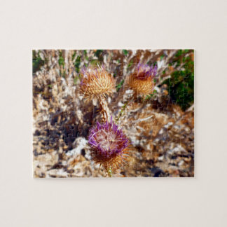Puzzle Chardon