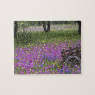 Puzzle Chariot en bois dans un champ de Phlox, Bonnets bl