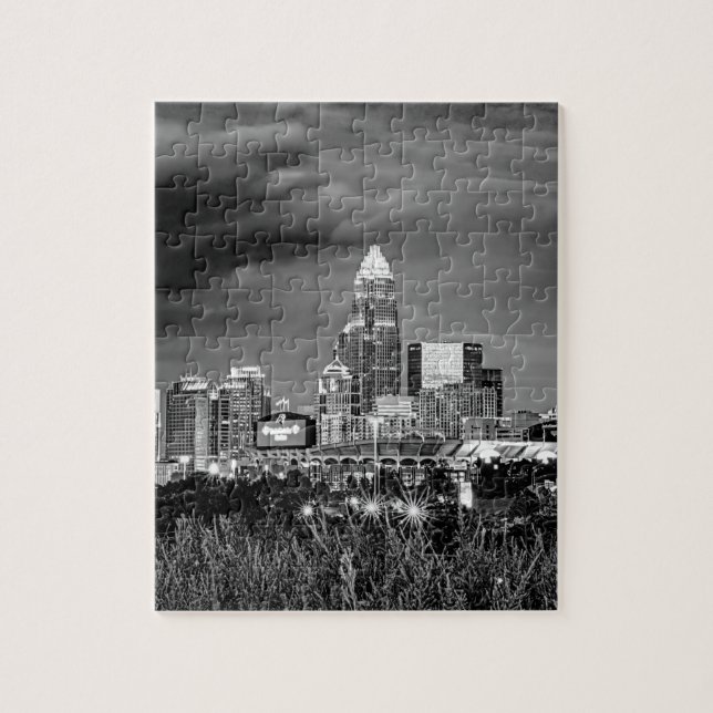 Puzzle charlotte carolina architecture (Vertical)