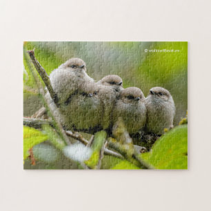 Puzzle Charme de coeur Cute Bushtits Songbirds Photo de f