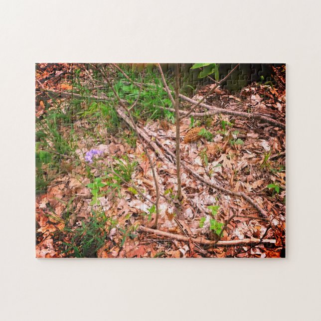 Puzzle Chasse Morel du printemps (Horizontal)