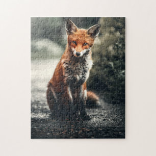 Puzzle Chasse sauvage Renard rouge Animaux Forêt Nature P