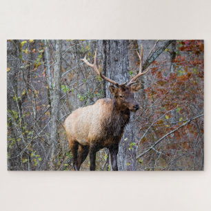 Puzzle Chasseur de gros gibier - Élan mâle - 20x30 pouces