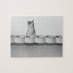 Puzzle Chat assis et lécher à côté du bol d'animal sur bl
