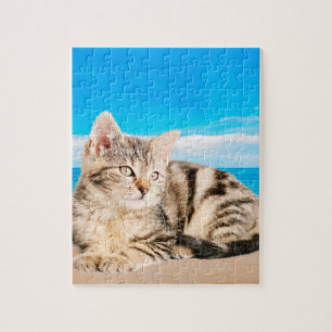 Puzzle Chat assis sur la plage de Tropical Island