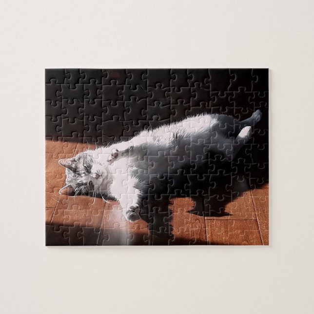 Puzzle chat au bain de soleil (Horizontal)