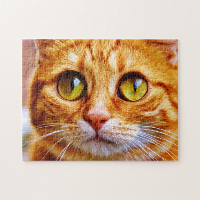 Puzzle Chat au gingembre à gros teint (Horizontal)