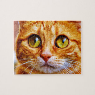 Puzzle Chat au gingembre à gros teint