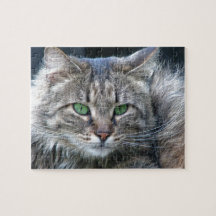 Chat aux yeux verts pelucheux de Kitty de tigre