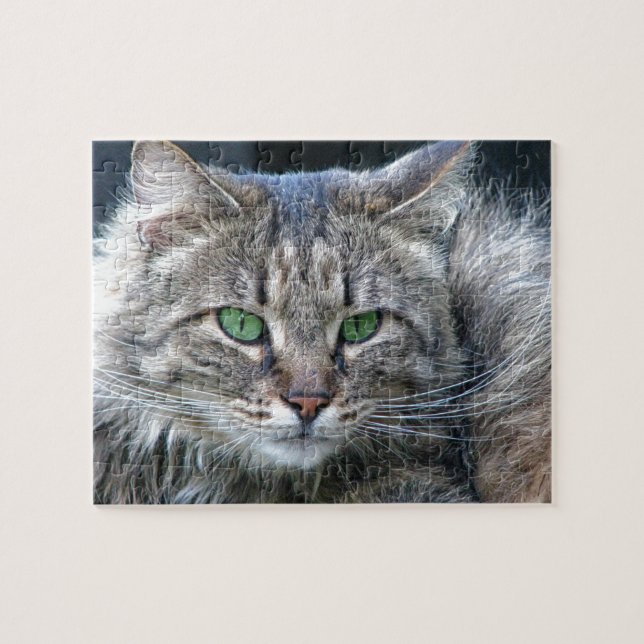 Puzzle Chat aux yeux verts pelucheux de Kitty de tigre (Horizontal)