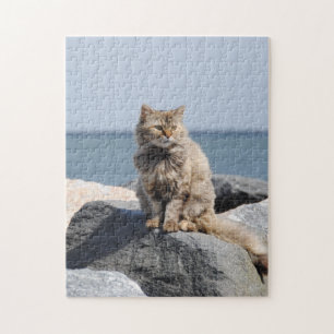 Puzzle Chat balayé par le vent au bord de la mer