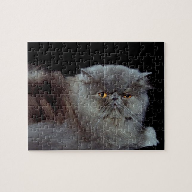 Puzzle Chat bleu perse (Horizontal)
