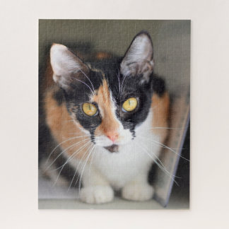 Puzzle Chat Calico aux yeux jaunes