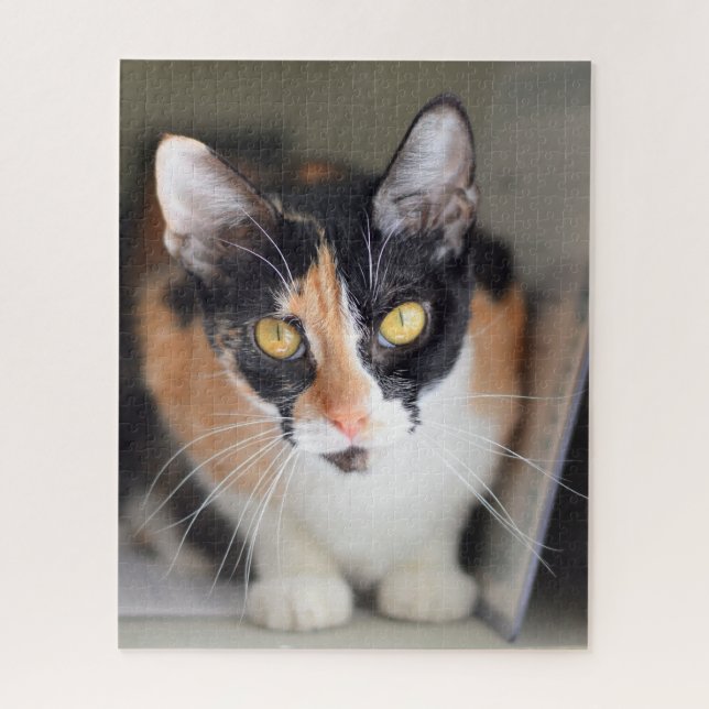 Puzzle Chat Calico aux yeux jaunes (Vertical)
