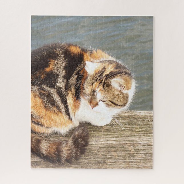 Puzzle chat chanceux, multi-voies sur un plateau à l'eau  (Vertical)