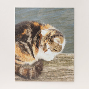 Puzzle chat chanceux, multi-voies sur un tableau à l'eau 