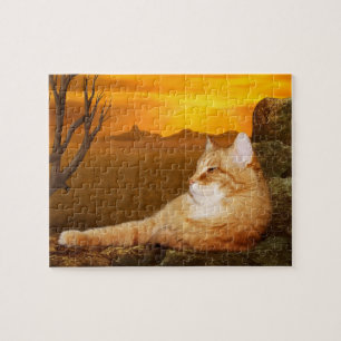 Puzzle Chat chaton tabby orange