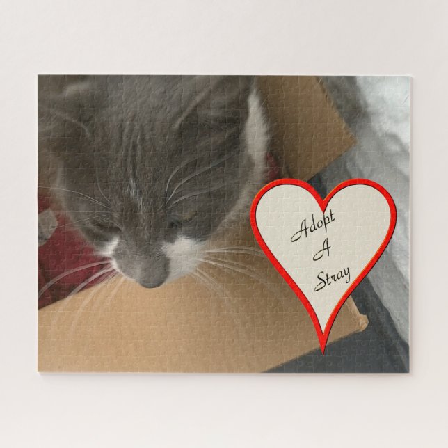 Puzzle Chat dans la boîte (Horizontal)