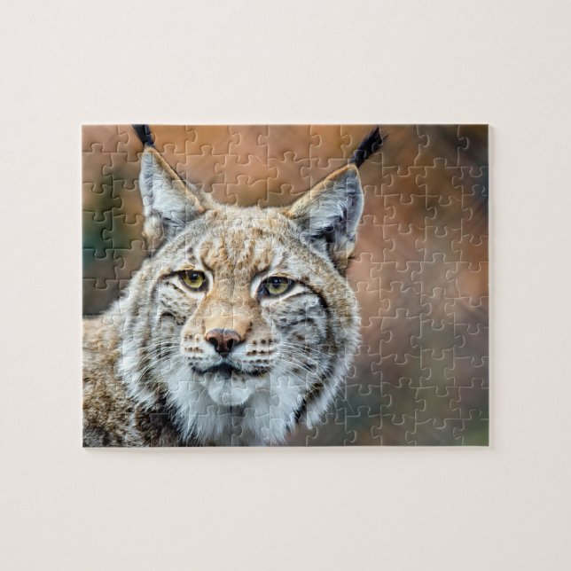 Puzzle Chat de prédateur de faune de chat sauvage de Lynx (Horizontal)