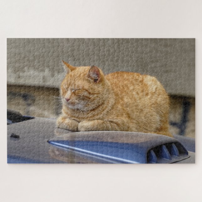 Puzzle Chat endormi (Horizontal)