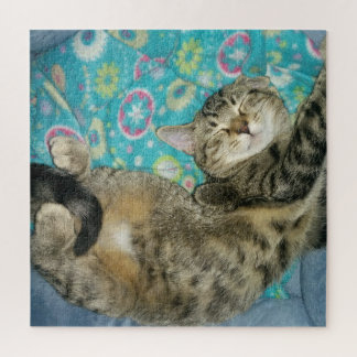 Puzzle Chat heureux