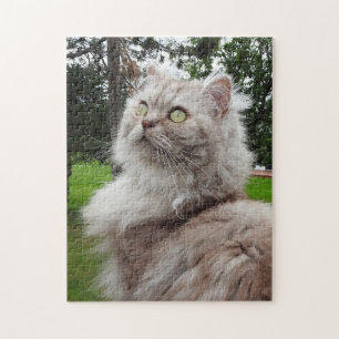 Puzzle Chat Longhair britannique - Chocolat, Tabby Argent