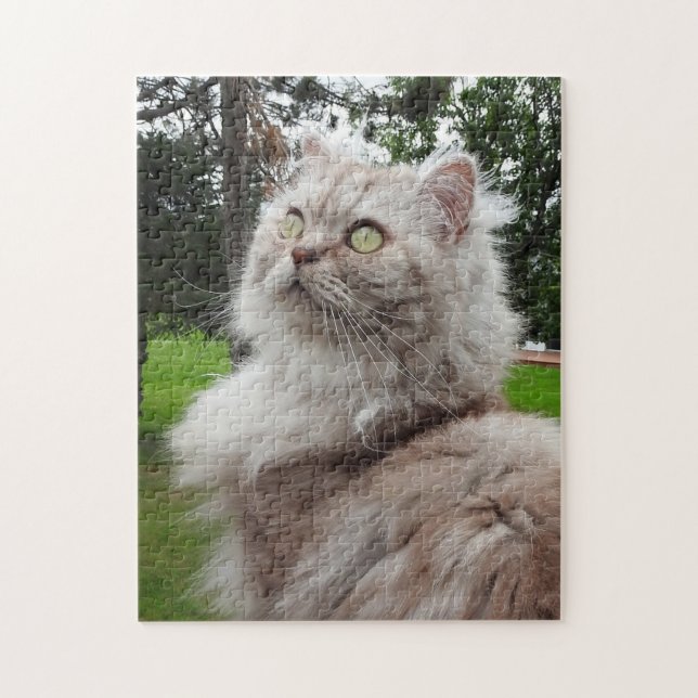 Puzzle Chat Longhair britannique - Chocolat, Tabby Argent (Vertical)