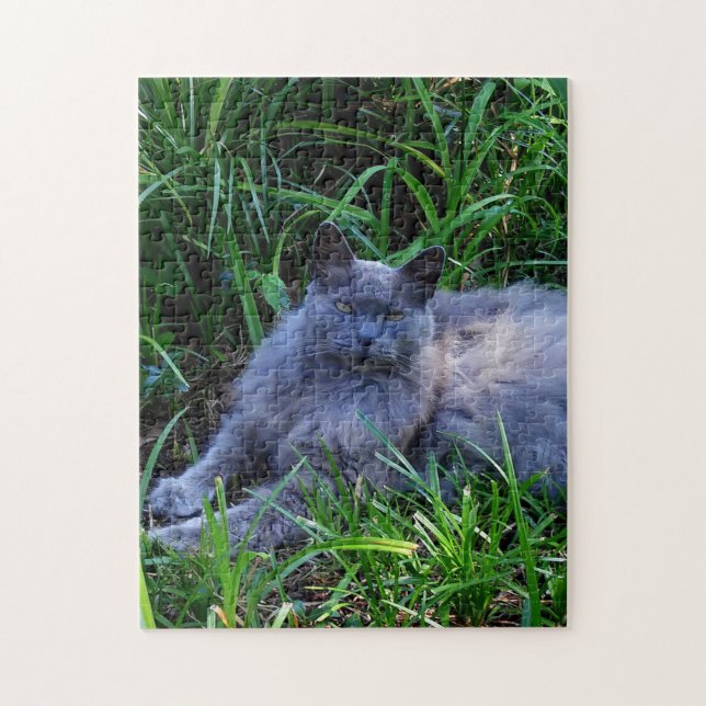 Puzzle Chat Maine Coon Sgolis Gray Photo Défi (Vertical)