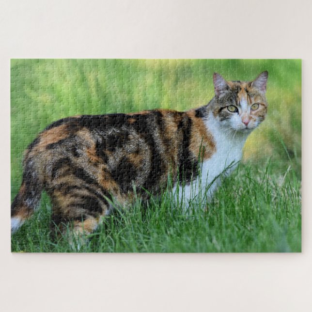 Puzzle Chat marron et blanc (Horizontal)